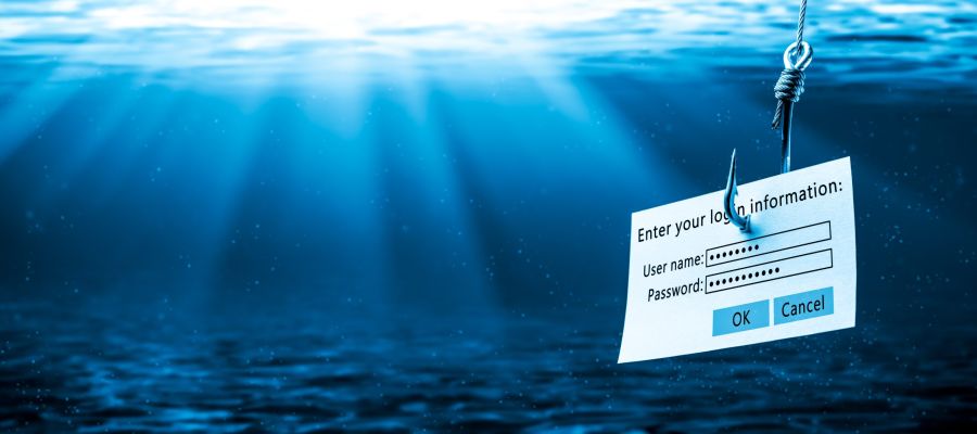 report phishing email, emails, scam emails, fake emails, spam emails, reportphishing@apwg.org
