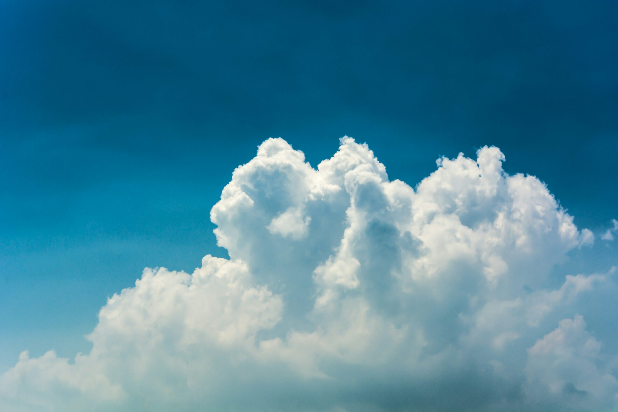 Cloud Solutions for Small Businesses: What You Need to Know